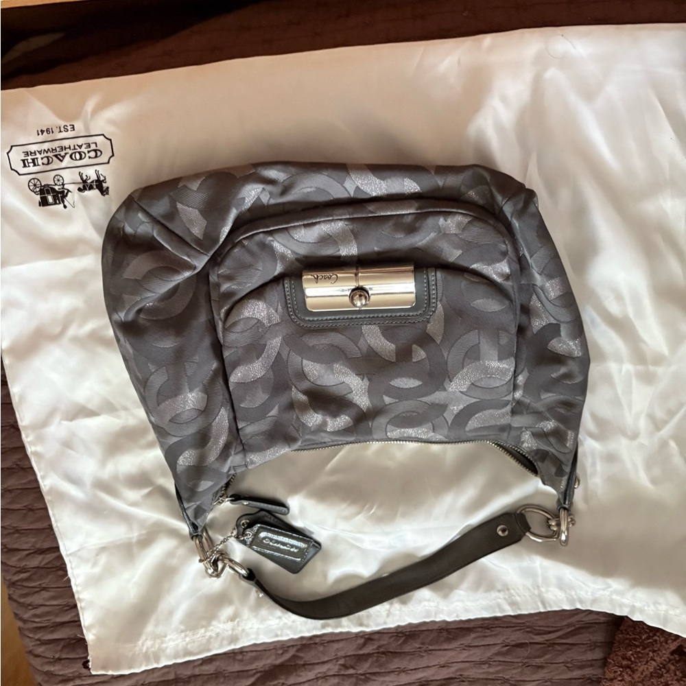 Coach Metallic Gray Hobo Bag